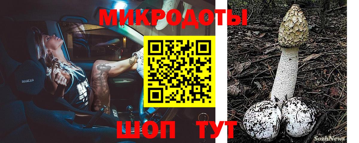 Галлюциногенные грибы мицелий Будённовск